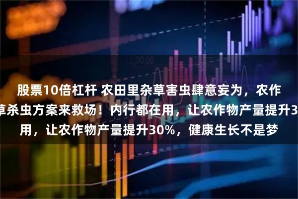 股票10倍杠杆 农田里杂草害虫肆意妄为，农作物生长受阻？专业除草杀虫方案来救场！内行都在用，让农作物产量提升30%，健康生长不是梦