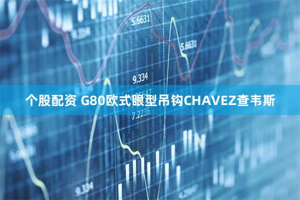 个股配资 G80欧式眼型吊钩CHAVEZ查韦斯
